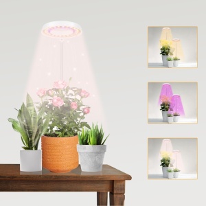 GooingTop Halo Plant Lamp for Indoor Plants Growing Halo001