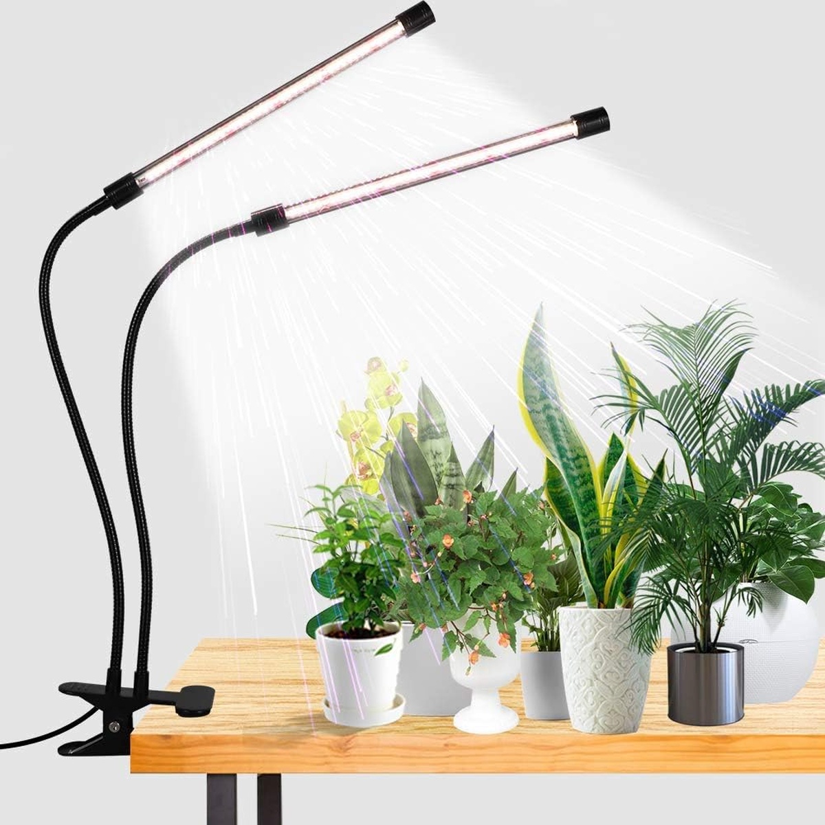 GooingTop LED Grow Light,100W 6000K Clip Lamp, HY-021